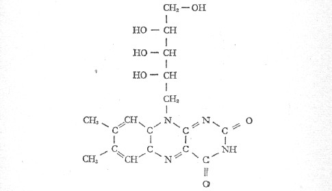 p 24